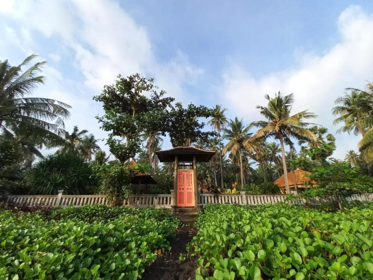 Bali North Beach B&B Tianyar Exterior photo